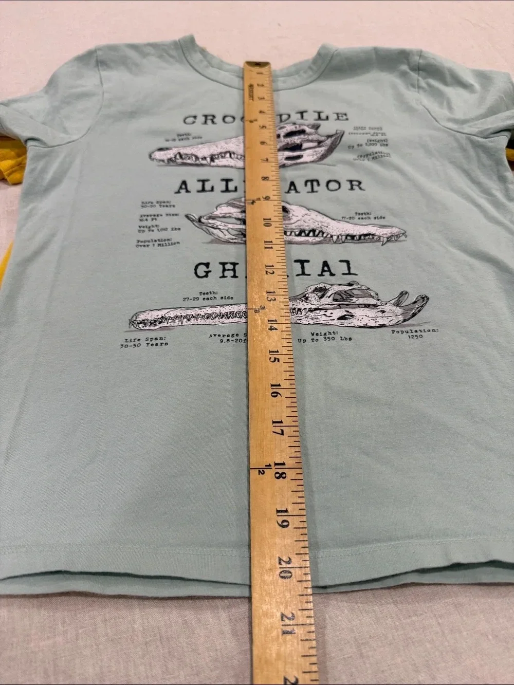 GAP kids Light Green Graphic Tee and with Yellow Tee lot of 2 size large